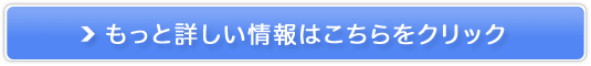 ���ɂ̔�т����������������S���t�h���C�o�[�yHAYABUSA�z�̔��T�C�g��